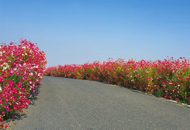 高模量改性沥青